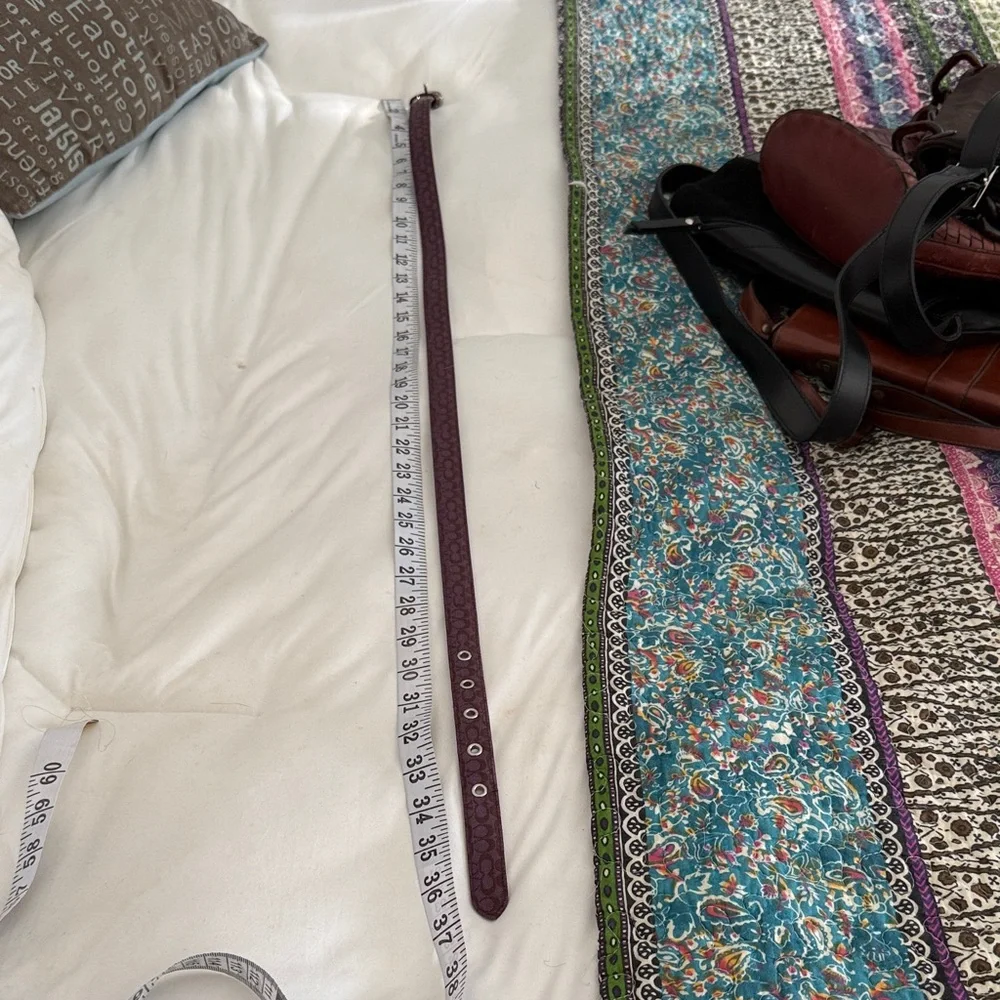 Women’s Purple Textured Leather Belt